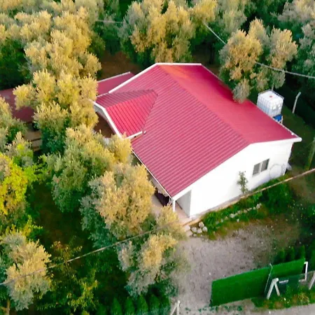 Iznik Goelce *
